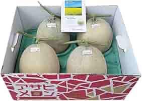 Amazon.co.jp: アサヒメロン 北海道 アサヒ メロン 追分 赤肉